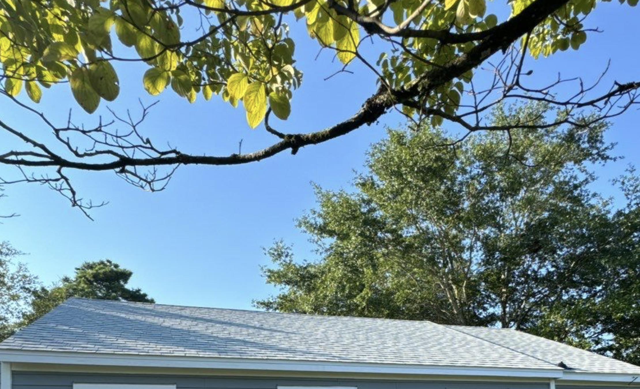 How to Prepare Your Roof for Spring Before the Busy Season Begins